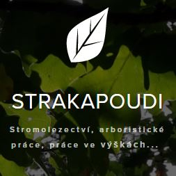 STRAKAPOUDI - arboristické práce, stromolezectví, práce ve výškách Javorník