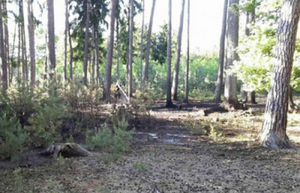 Osm jednotek hasičů likvidovalo požár lesa na Prostějovsku
