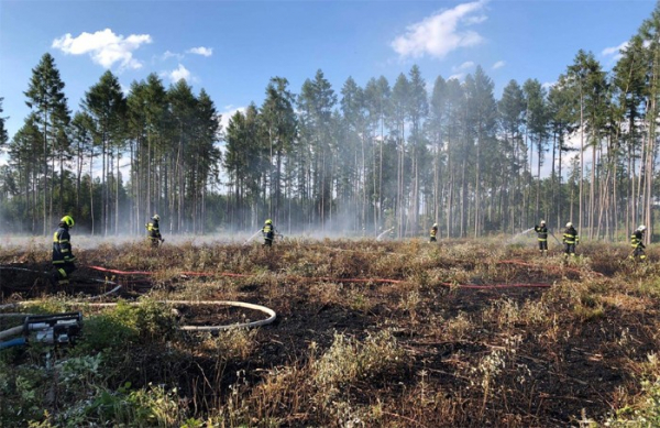 Lesní požár hasilo devět jednotek na Přerovsku