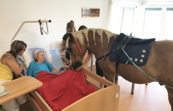 Koňské zázraky v SeneCura SeniorCentru Olomouc