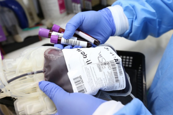 Valentýnský odběr krve v prostějovské nemocnici nabídne speciální odměnu pro páry