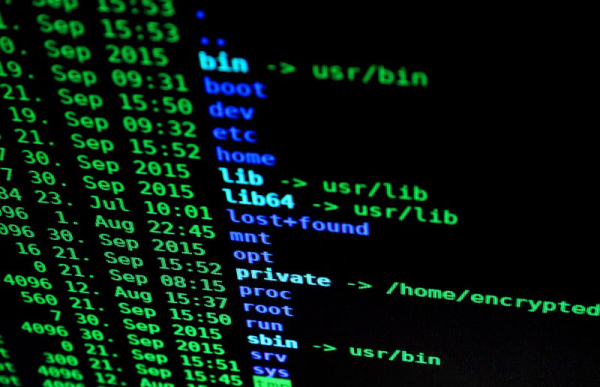 Olomoucký magistrát po kybernetickém útoku: obnovu služeb pro veřejnost  zvládneme během dvou týdnů