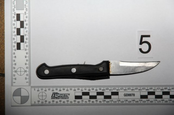 Cizinec pod vlivem drog pořezal na parkovišti v Zábřehu nožem mladého muže