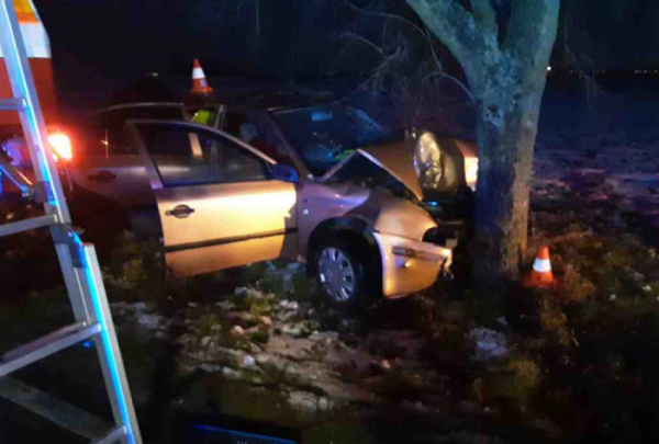 Ani přes rychlou pomoc zasahujících řidič osobního vozu po nárazu do stromu nepřežil