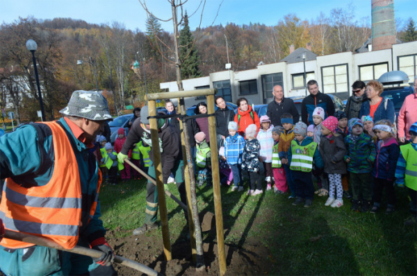 ČEZ: Senioři a prckové pomohli s výsadbou stromů v Jeseníku