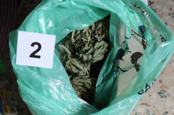 Olomoučtí celníci odkryli obchod s drogami, pachatelům hrozí až deset let vězení