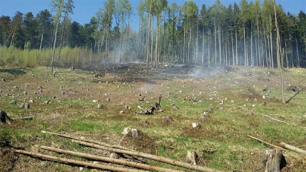 Šest jednotek likvidovalo větší požár v lesním porostu, Nejdek-Bělotín
